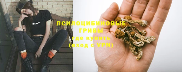 ГАЛЛЮЦИНОГЕННЫЕ ГРИБЫ Вяземский