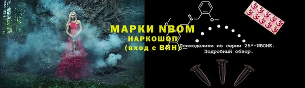 PSILOCYBIN Вязники