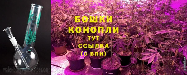 ГАЛЛЮЦИНОГЕННЫЕ ГРИБЫ Вяземский