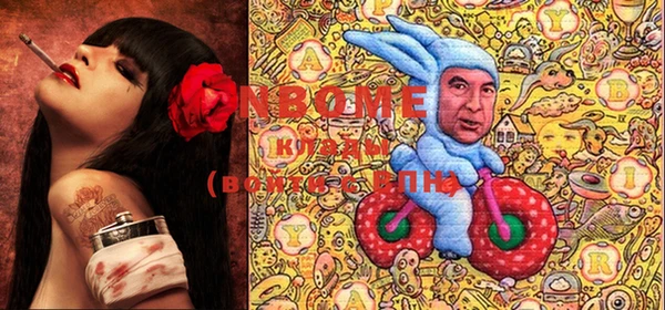ГАЛЛЮЦИНОГЕННЫЕ ГРИБЫ Вяземский