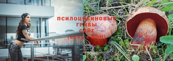 ГАЛЛЮЦИНОГЕННЫЕ ГРИБЫ Вяземский