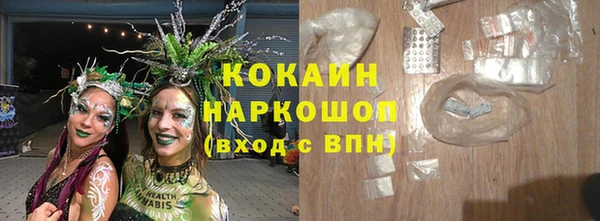ГАЛЛЮЦИНОГЕННЫЕ ГРИБЫ Вяземский